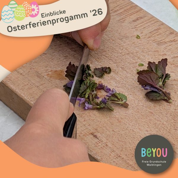 einblick Osterferienprogramm Kräuter