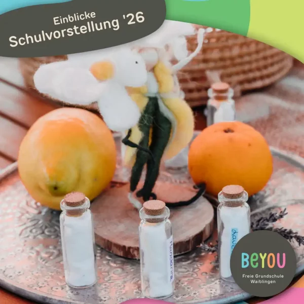 Schulvorstellung_Einblicke_5
